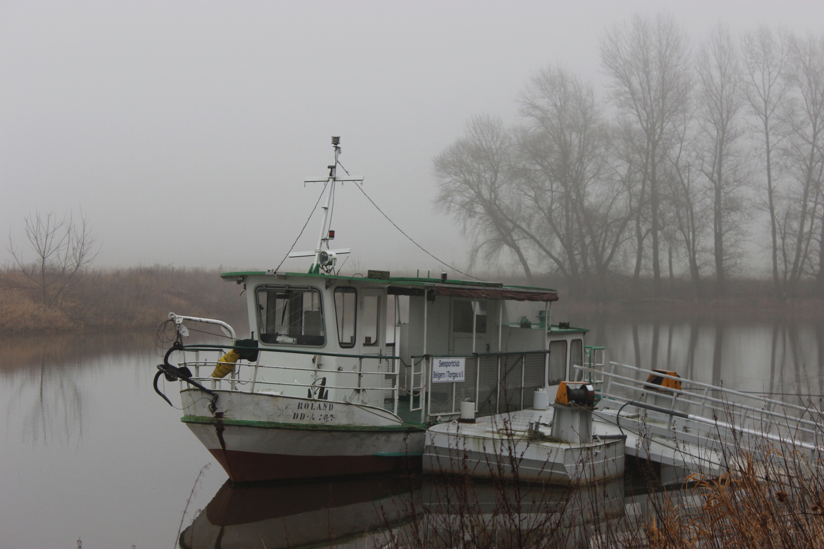 Roland im Nebel