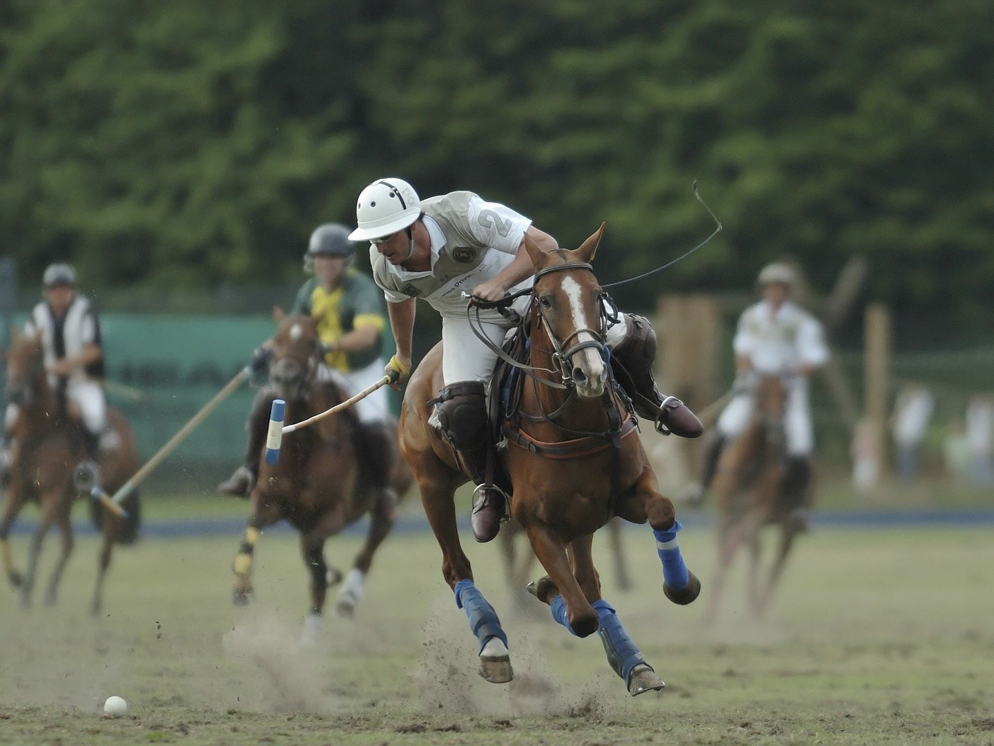 Rolex Crown Cup Hamburg