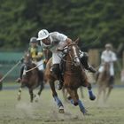 Rolex Crown Cup Hamburg