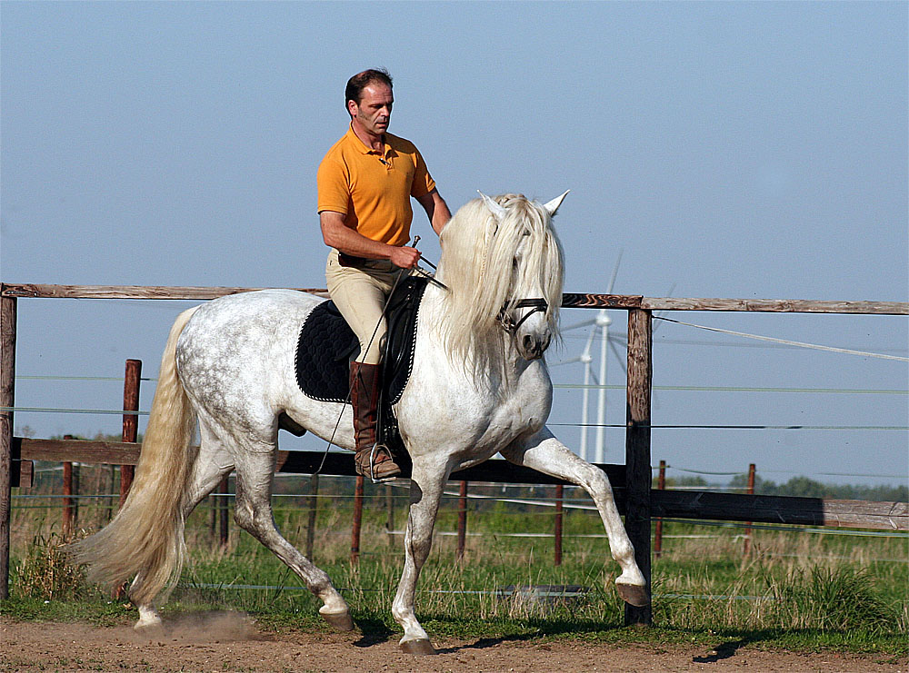 Rolf Janzen und Quimico I.S.