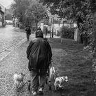 Rollatorhunderennen IMG_1471-3