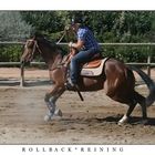 Rollback*Reining