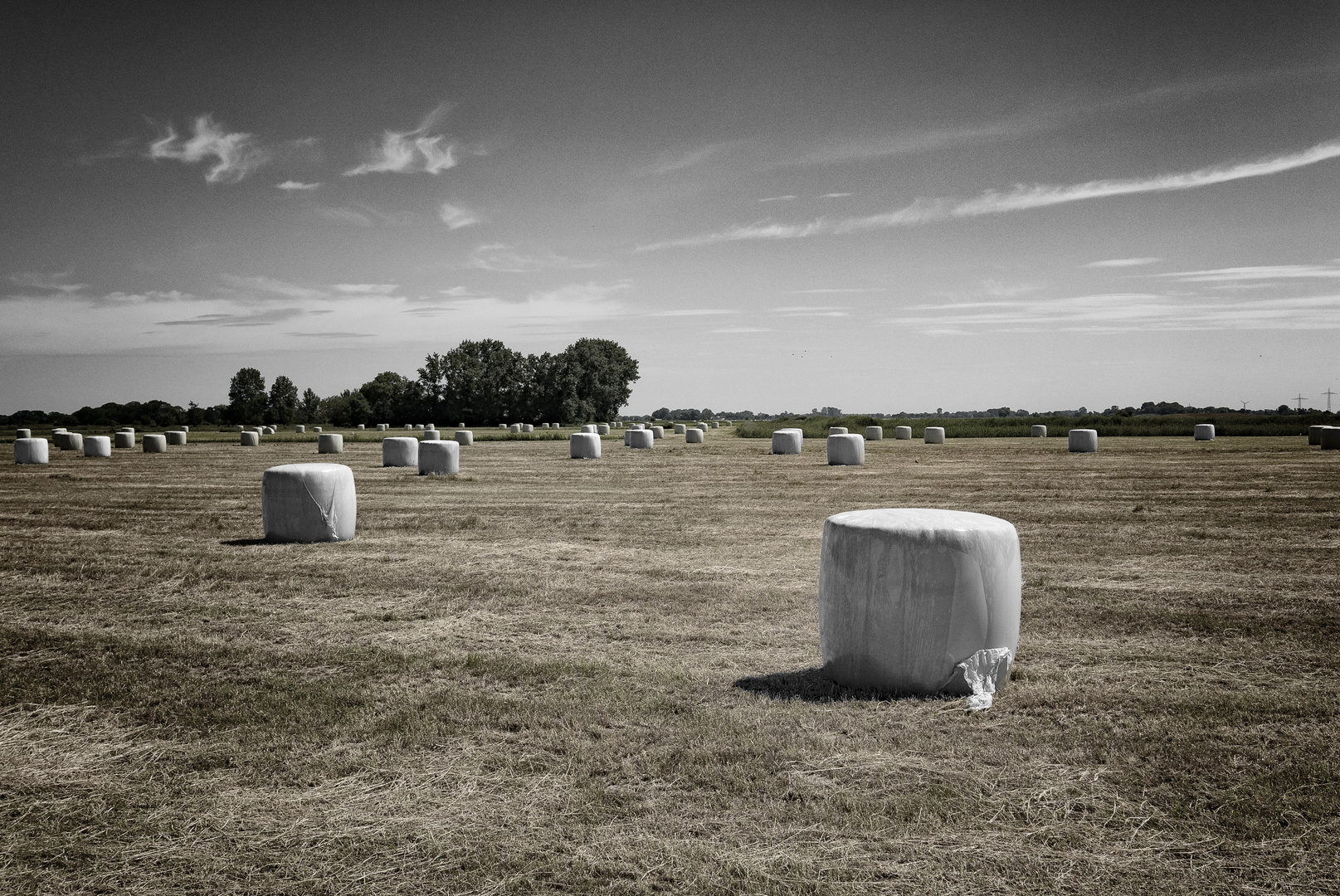 .. rolled hay ..