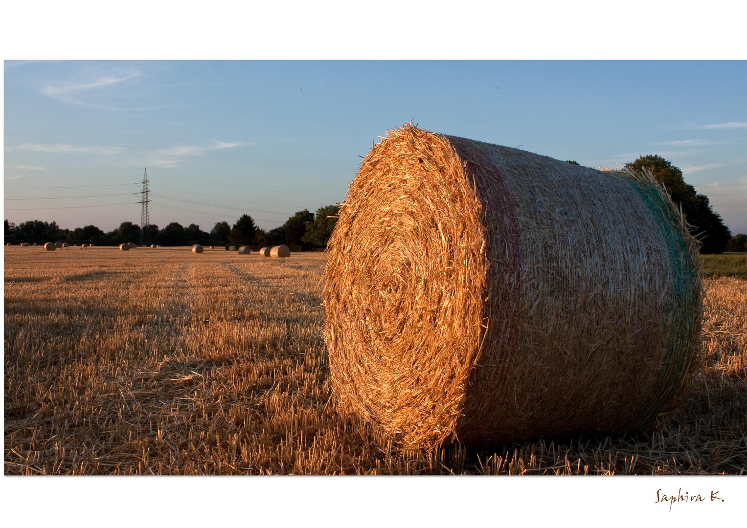 °°°rolled straw on field°°°