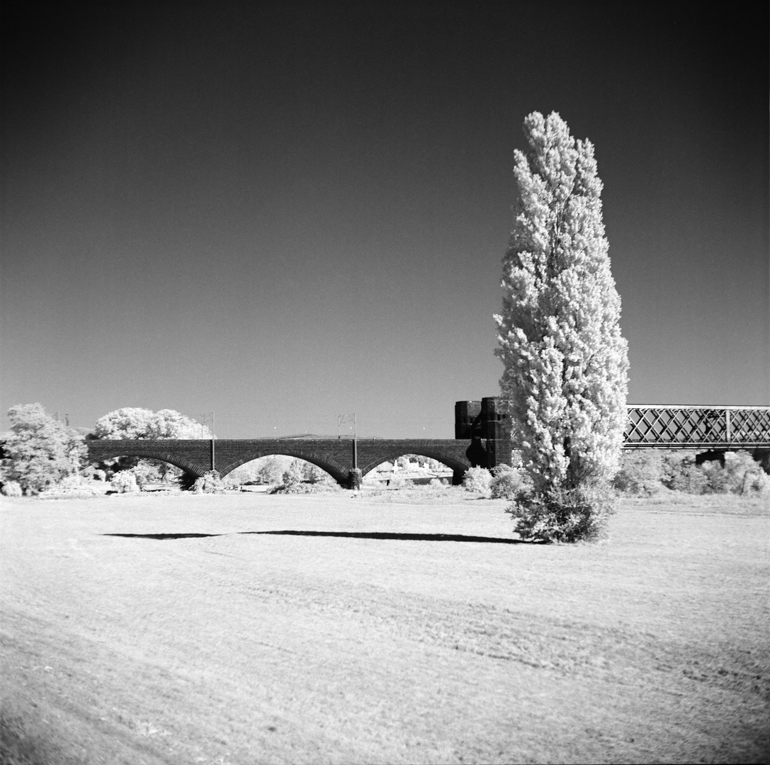 Rollei Infrared IR400