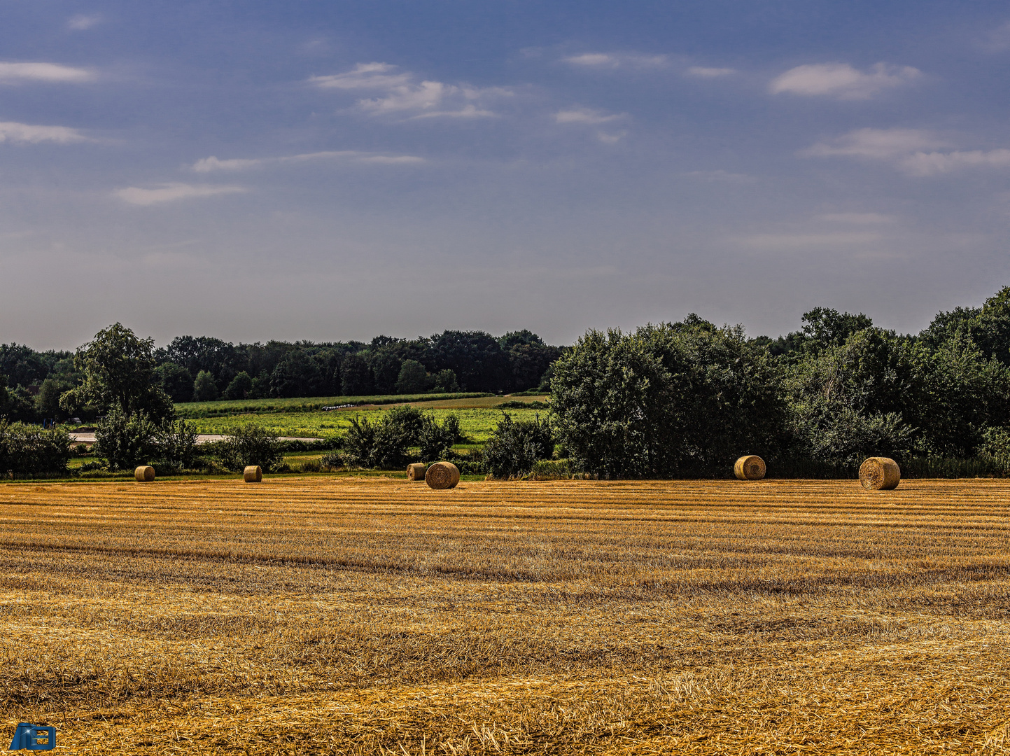 Rollen in der Ried