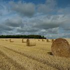 Rollen so weit das Auge reicht, leider führt eine Stromtrasse direkt über das Feld,..