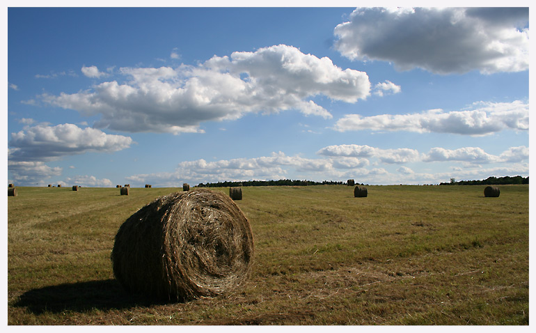 Rollen unter blauem Himmel