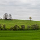 rollende grüne hügel...