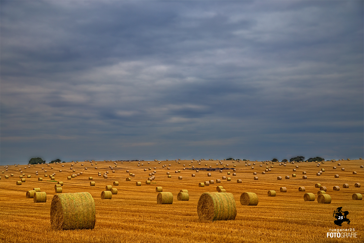 Roll(en)feld ... irgendwo auf Rügen