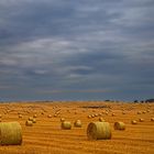 Roll(en)feld ... irgendwo auf Rügen