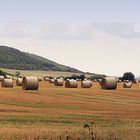 Rollenlager-Panorama