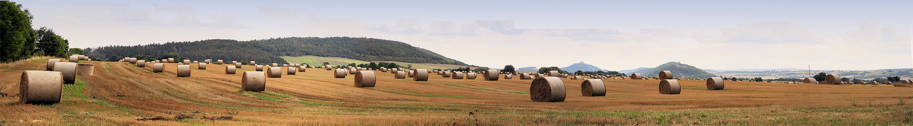 Rollenlager-Panorama