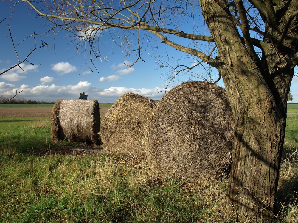 Rollenspiel im Herbst