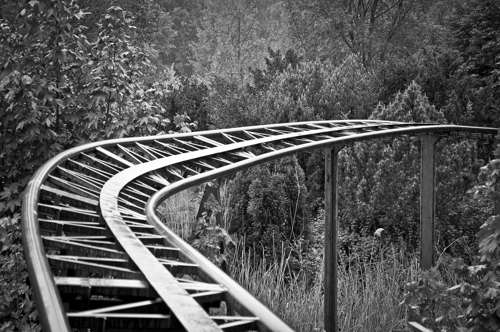 roller coaster---1