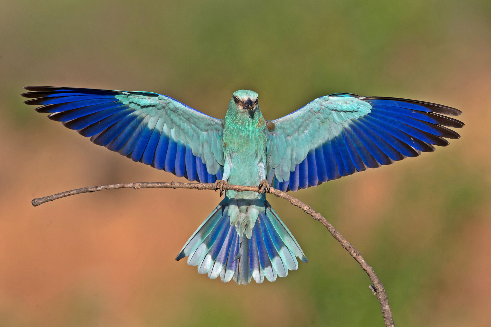 Roller landing