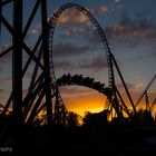 rollercoaster ride at sunset