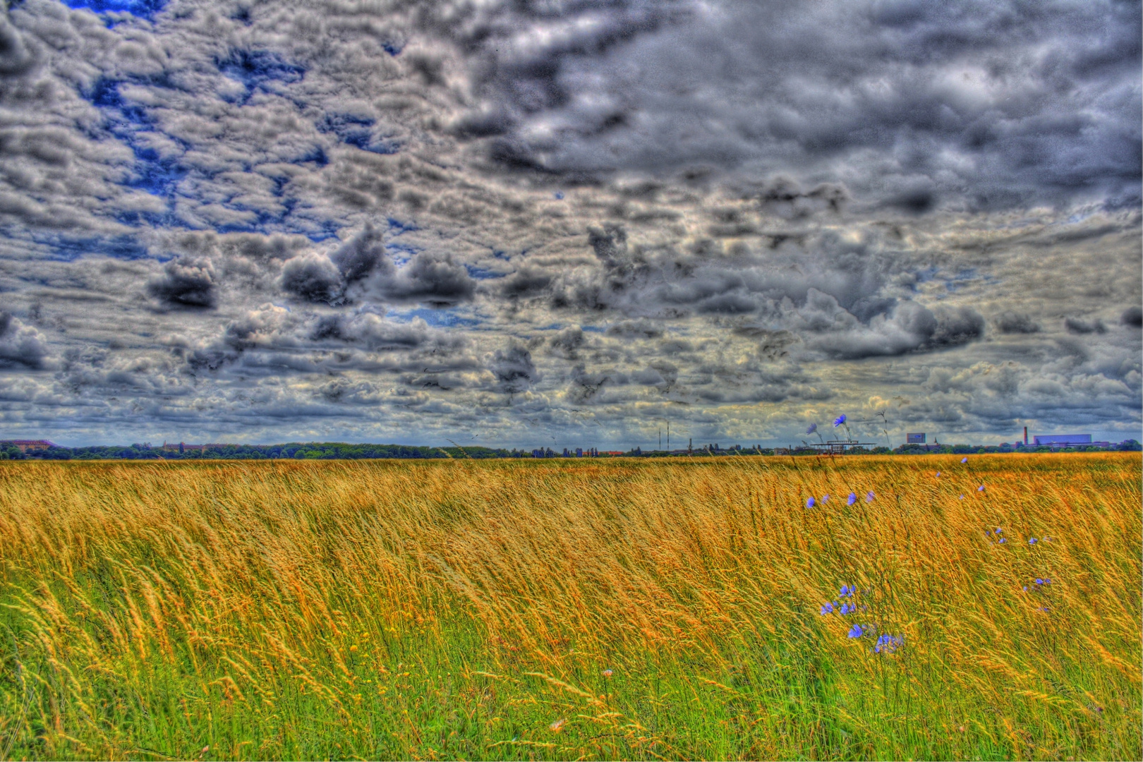 Rollfeld Tempelhof