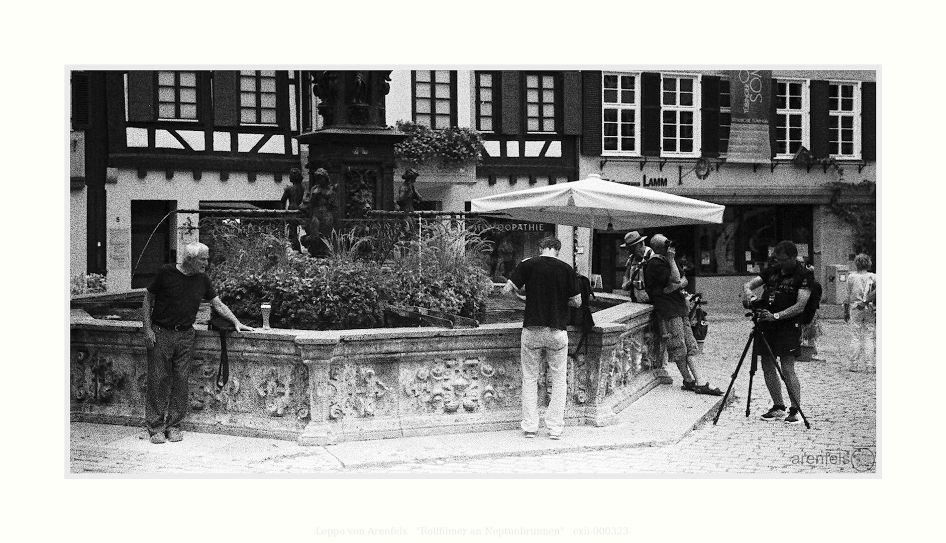 Rollfilmer an Neptunbrunnen #cxii-000323