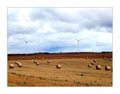 Rolling Fields