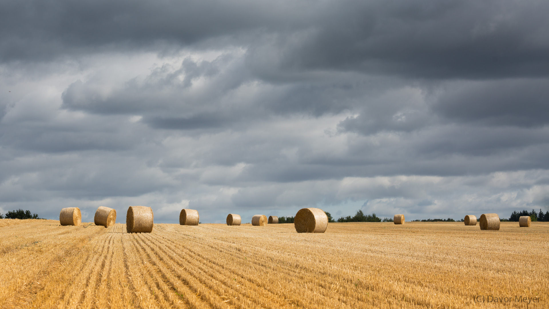 rolling hay bales