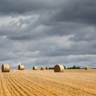 rolling hay bales