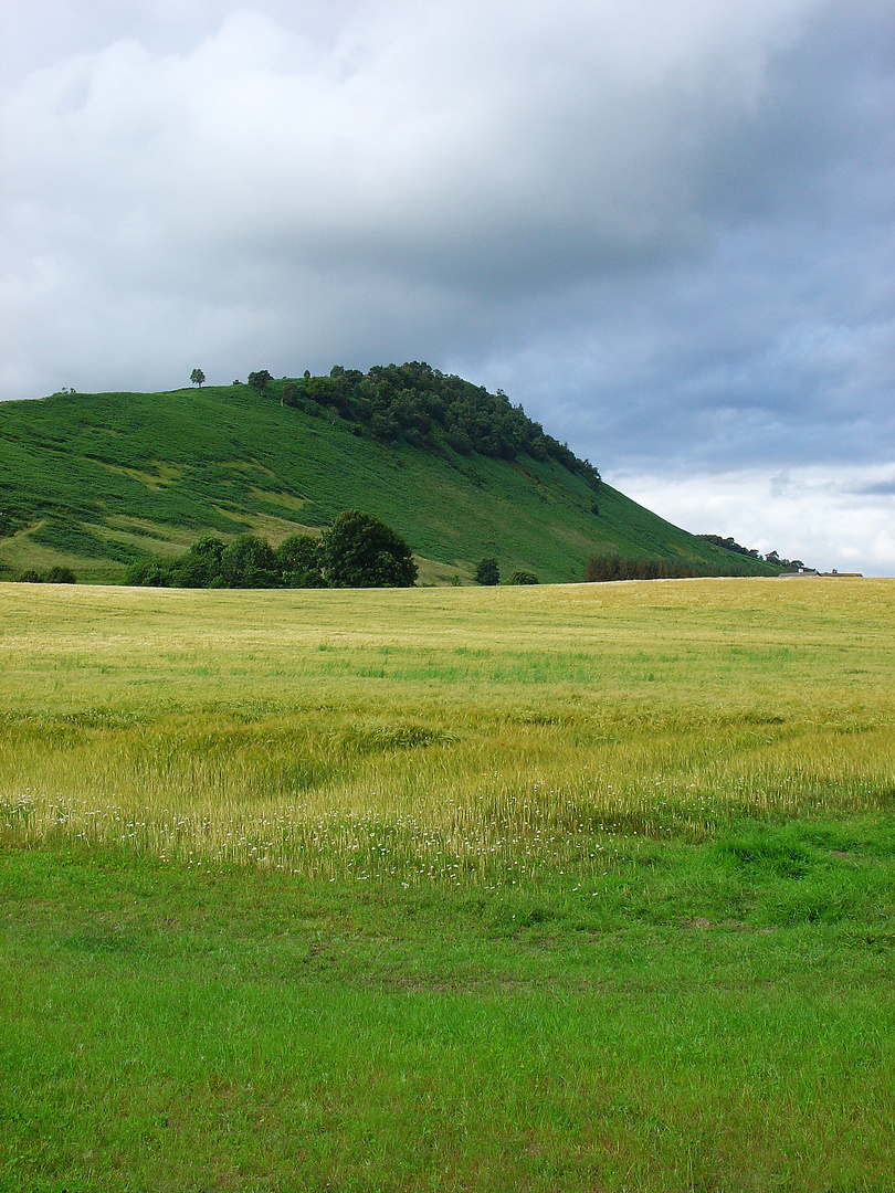 Rolling Hills