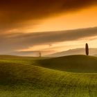 Rolling Hills of Tuscany