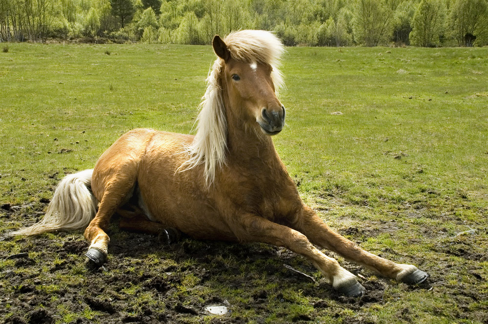 Rolling in the dirt