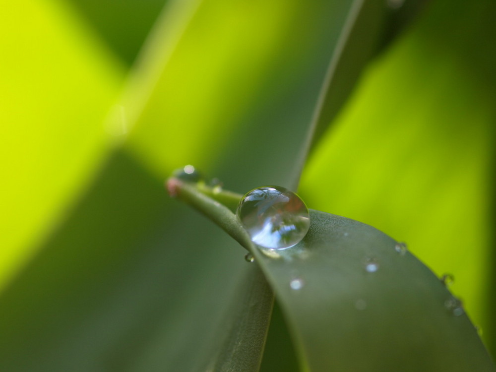 Rolling Water