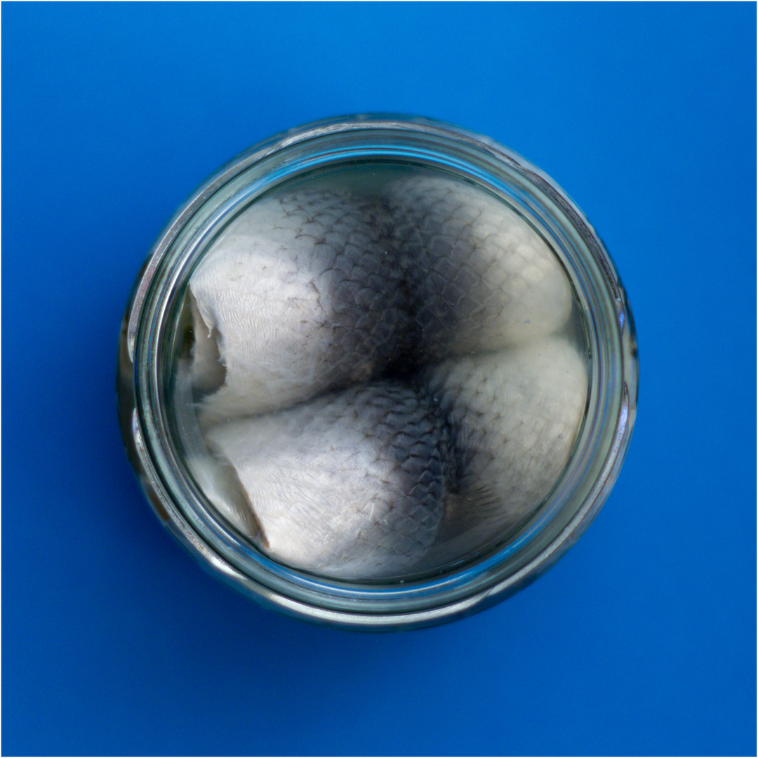Rollmops im Glas Foto & Bild stillleben, foodfotografie, fische & meeresfrüchte Bilder auf
