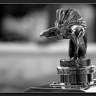 Rolls Royce - Indianer