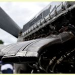 Rolls Royce Merlin Detail