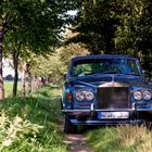 Rolls-Royce Silver Shadow auf einem Feldweg gestrandet