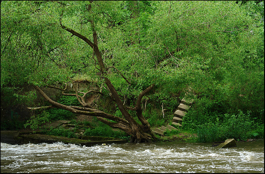 Rolltreppe