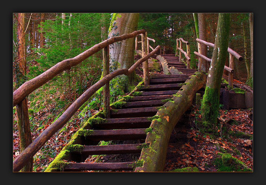 Rolltreppe