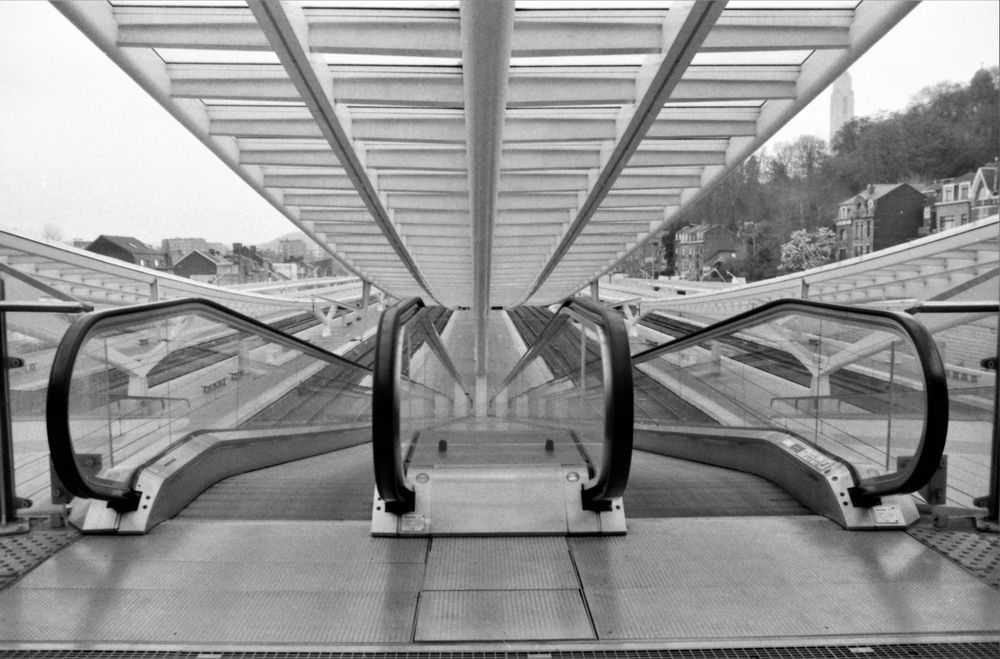 Rolltreppe abwärts (B&W analog)