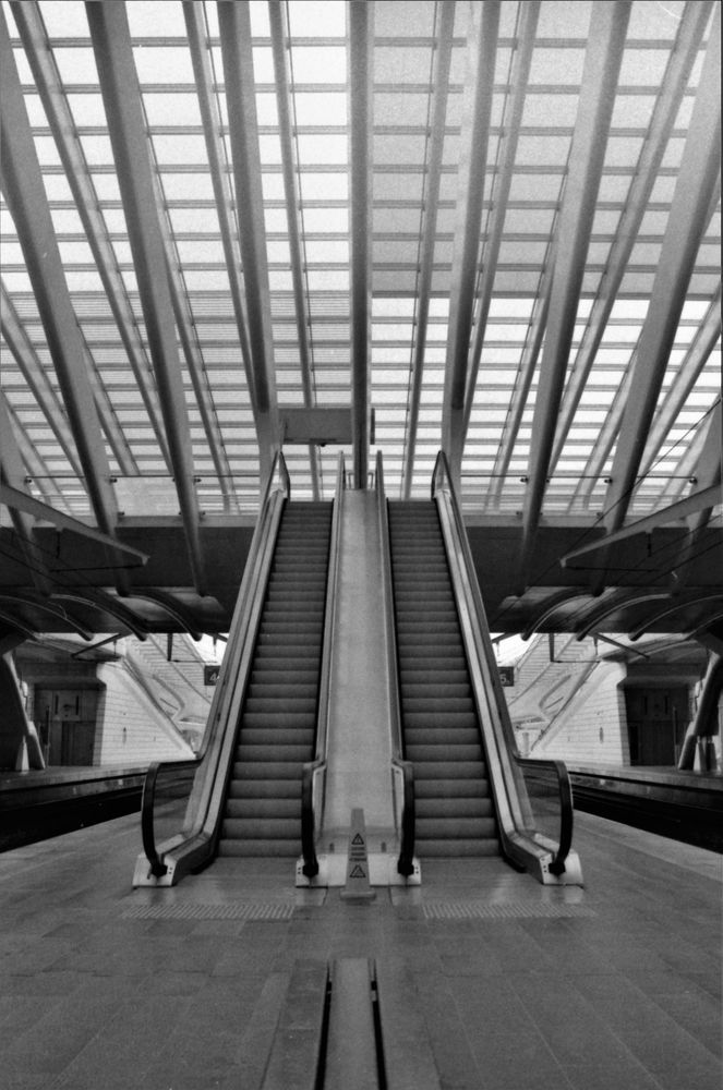 Rolltreppe aufwärts (B&W analog)