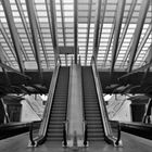 Rolltreppe aufwärts (B&W analog)