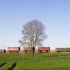 Rollwagenverkehr an der Döllnitzbahn