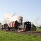 Rollwagenverkehr an der Döllnitzbahn