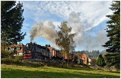 Rollwagenzug in Sorge