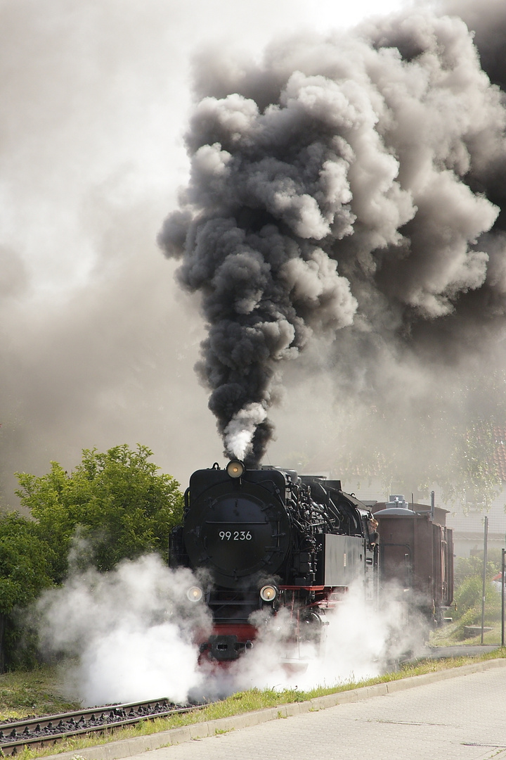 Rollwagenzug und Volldampf