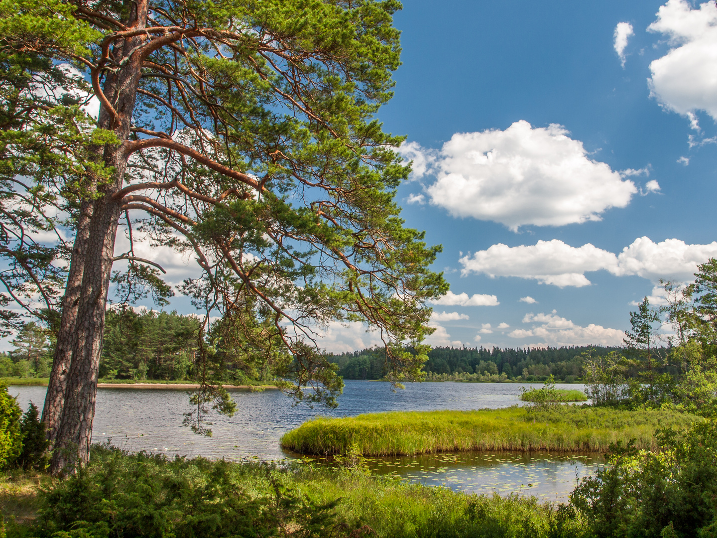 Rolstorpasjön