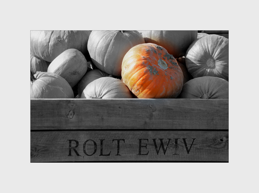 Rolt Ewiv (der Herbst naht...)