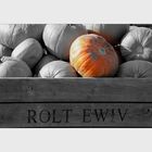 Rolt Ewiv (der Herbst naht...)