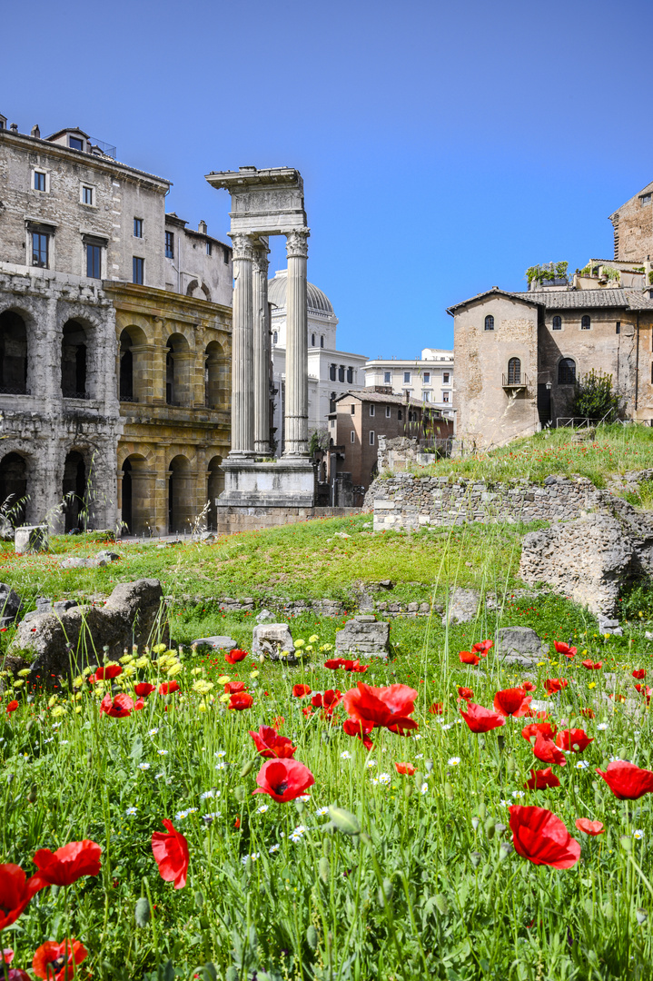 Rom 2777 - am Teatro di Marcello