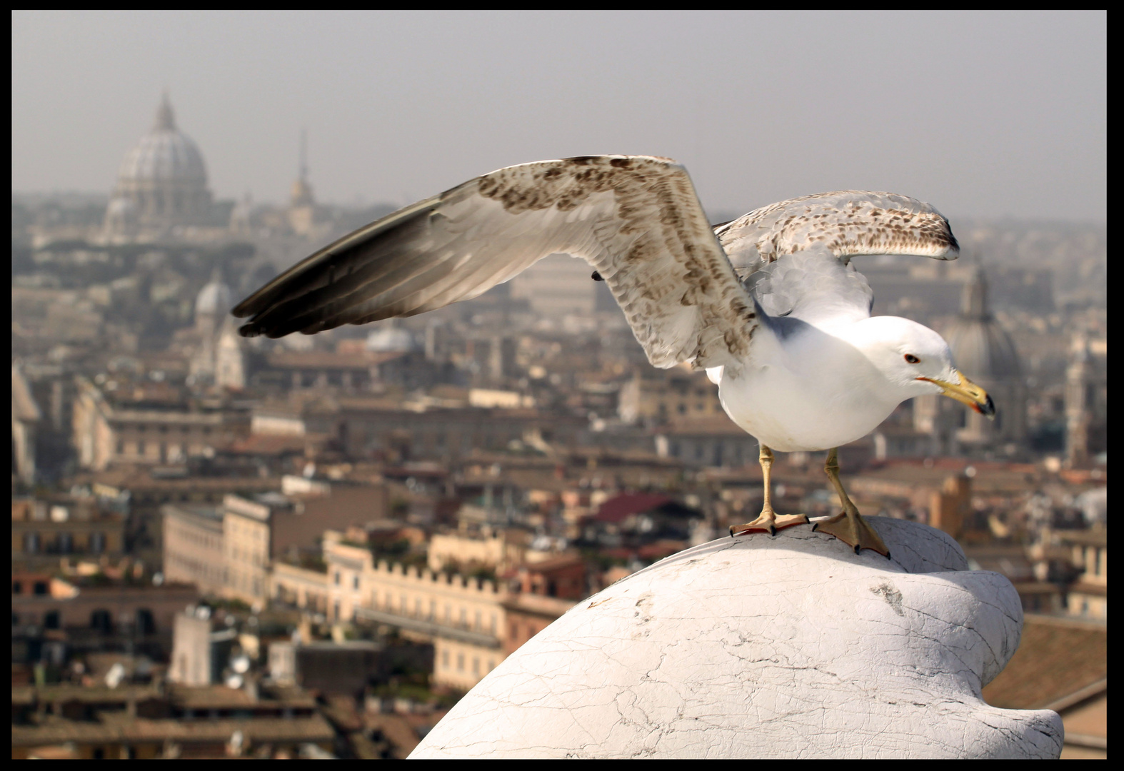 Rom aus der Vogelperspektive