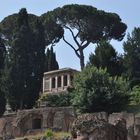 Rom: Blick auf den Paladin vom Forum aus