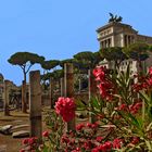 ROM  - Blick auf die Monumento Vittorio Emanuele II -